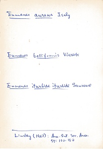 岩田久二雄フィールドノート