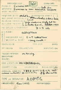 岩田久二雄フィールドノート