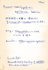 岩田久二雄フィールドノート