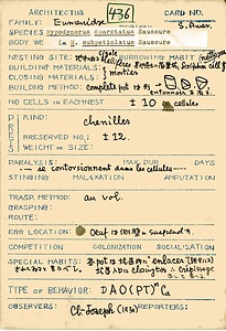 岩田久二雄フィールドノート