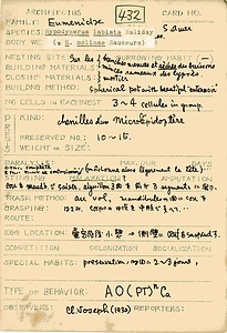 岩田久二雄フィールドノート