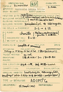 岩田久二雄フィールドノート