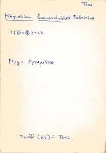 岩田久二雄フィールドノート