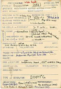 岩田久二雄フィールドノート