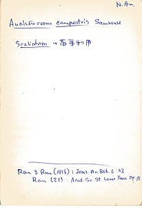 岩田久二雄フィールドノート