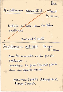 岩田久二雄フィールドノート