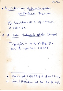 岩田久二雄フィールドノート