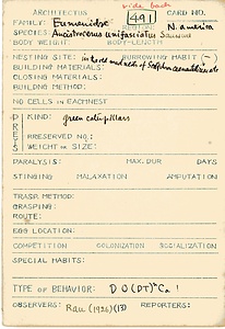 岩田久二雄フィールドノート