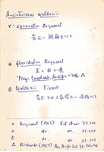 岩田久二雄フィールドノート