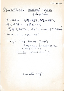 岩田久二雄フィールドノート