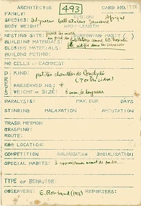 岩田久二雄フィールドノート