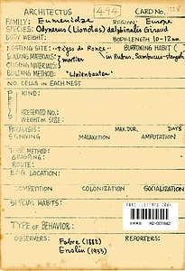 岩田久二雄フィールドノート