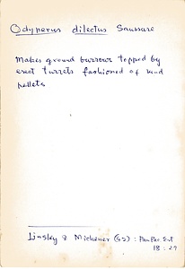 岩田久二雄フィールドノート