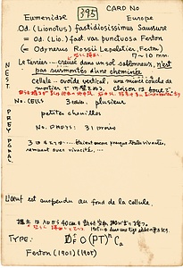 岩田久二雄フィールドノート