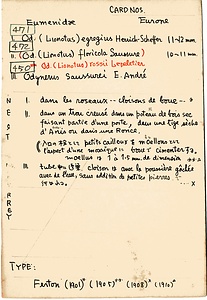 岩田久二雄フィールドノート