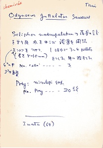 岩田久二雄フィールドノート