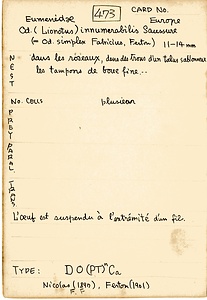 岩田久二雄フィールドノート