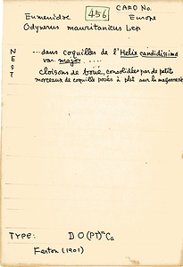 岩田久二雄フィールドノート