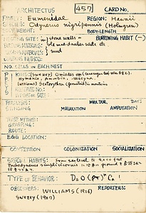 岩田久二雄フィールドノート