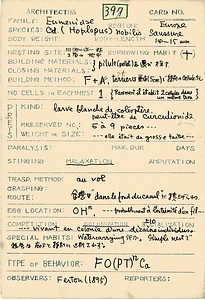 岩田久二雄フィールドノート