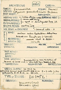 岩田久二雄フィールドノート