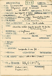 岩田久二雄フィールドノート