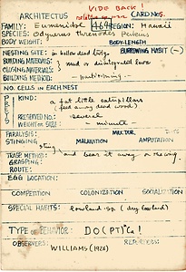 岩田久二雄フィールドノート