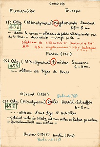 岩田久二雄フィールドノート