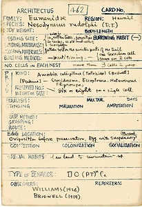 岩田久二雄フィールドノート