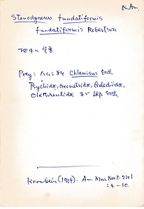 岩田久二雄フィールドノート