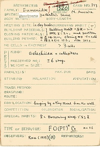 岩田久二雄フィールドノート