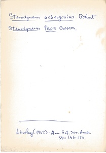 岩田久二雄フィールドノート