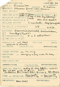 岩田久二雄フィールドノート