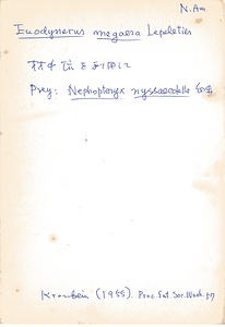 岩田久二雄フィールドノート