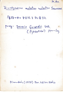 岩田久二雄フィールドノート