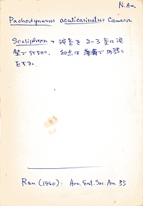 岩田久二雄フィールドノート