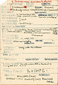 岩田久二雄フィールドノート