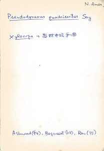 岩田久二雄フィールドノート