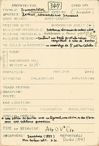 岩田久二雄フィールドノート