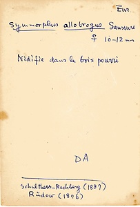 岩田久二雄フィールドノート