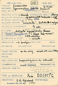 岩田久二雄フィールドノート