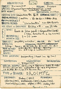 岩田久二雄フィールドノート