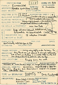 岩田久二雄フィールドノート