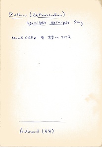 岩田久二雄フィールドノート