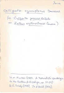 岩田久二雄フィールドノート