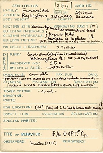 岩田久二雄フィールドノート