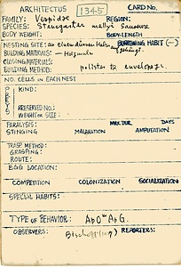 岩田久二雄フィールドノート