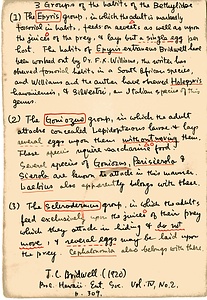 岩田久二雄フィールドノート