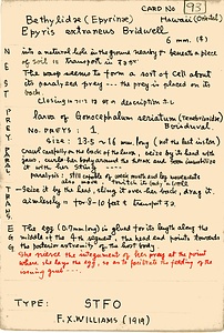 岩田久二雄フィールドノート