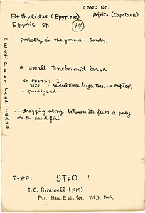 岩田久二雄フィールドノート